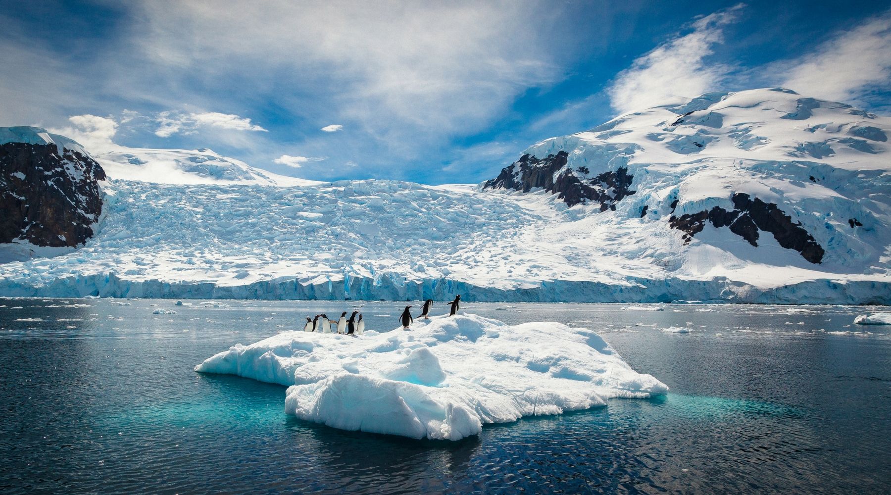 Dịch vụ vận chuyển hàng hóa từ ANTARCTICA về Việt Nam