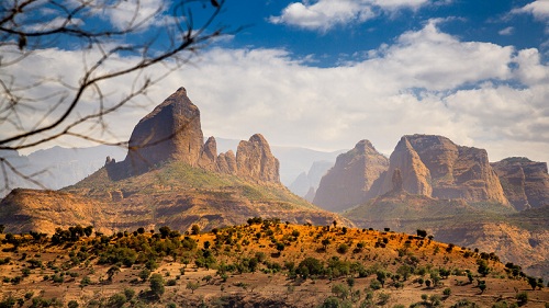 Dịch vụ chuyển hàng từ ETHIOPIA về Việt Nam tiết kiệm