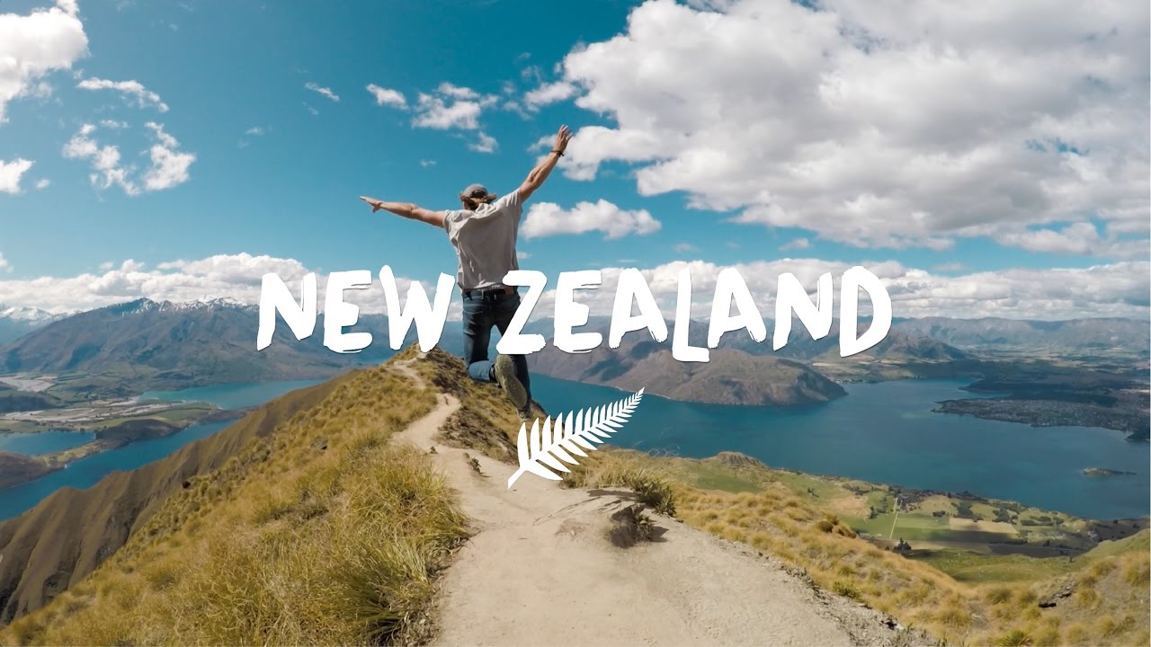 Chuyển hàng tiết kiệm từ NEW ZEALAND về Việt Nam nhanh chóng, đảm bảo