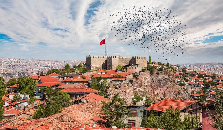 Chuyển hàng tiết kiệm từ TURKEY về Việt Nam nhanh chóng, đảm bảo